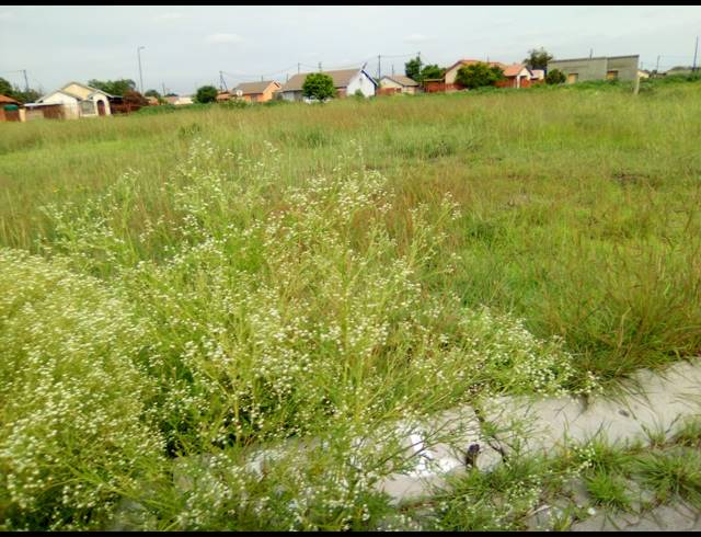 297M² VACANT LAND FOR SALE IN BOITEKONG